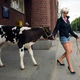 Illustration for article titled German Women Adept At Milking Cows, Plowing Fields Vie For Calendar-Modeling Gig